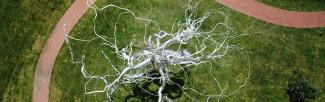 A sculpture with dendrite-like protrusions in a grass field
