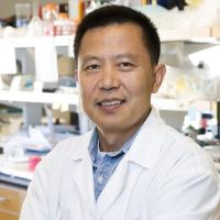 A photo of Yu Tian Wang in a laboratory